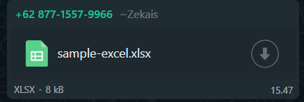 Send Excel